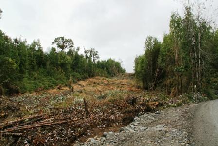 Ausbau der Carretera